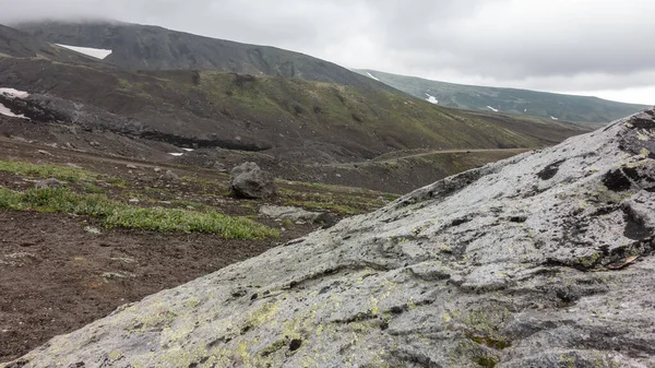 Yeşil Bitki Örtüsü Kayalar Erimiş Kar Dağ Yamaçlarında Görülebilir Tepeler — Stok fotoğraf