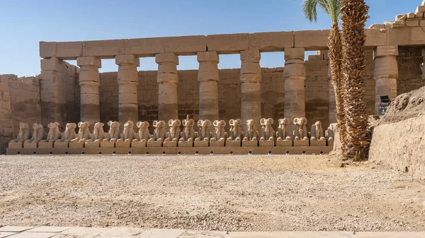 Row Statues Sphinxes Head Ram Background Colonnade Ancient Karnak Temple — Stock Photo, Image