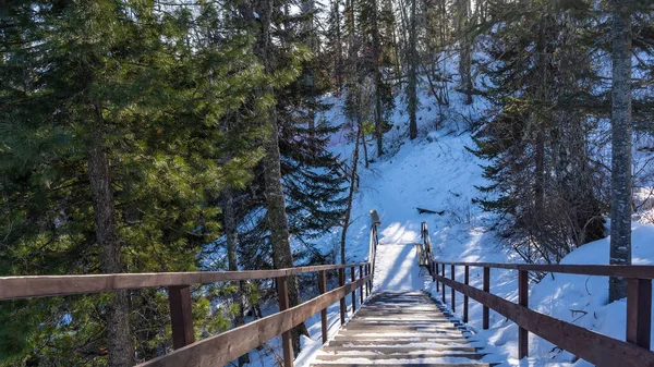 Uma Escadaria Madeira Com Corrimão Desce Colina Neve Nos Degraus — Fotografia de Stock