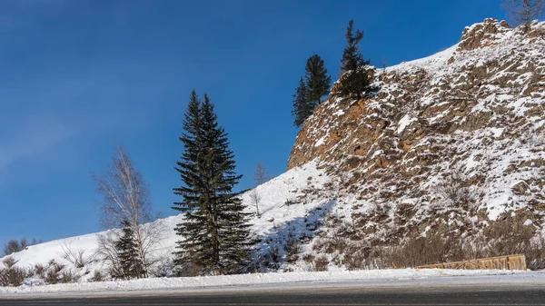 Uma Montanha Coberta Neve Contra Céu Azul Árvores Coníferas Crescem — Fotografia de Stock