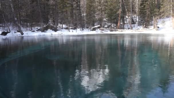 놀랍게 간헐천 호수는 눈덮인 숲으로 둘러싸여 점토는 바닥에서 올라와 청록색 — 비디오