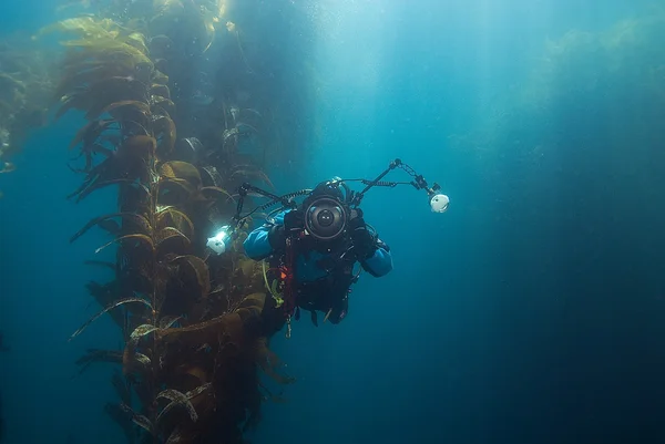 Fotógrafo submarino — Foto de Stock