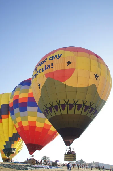 Festival de globos aerostáticos — Foto de Stock