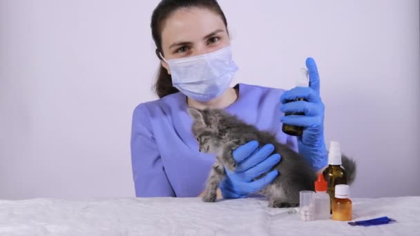 Een dierenarts in een blauw uniform plet een parasiet spray op de kittens schort. — Stockvideo