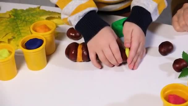 Il bambino scolpisce un bruco da castagne e plastilina. Artigianato autunnale per bambini. — Video Stock