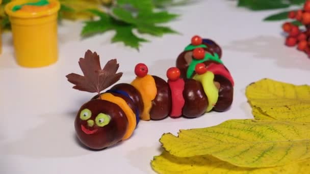 Childrens autumn craft caterpillar of chestnuts and dough for modeling. — Stock Video
