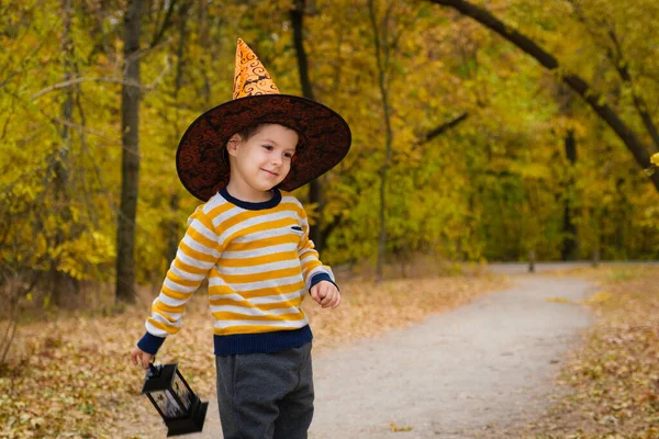 Niño Preescolar Camina Con Una Linterna Bosque Otoño Halloween —  Fotos de Stock