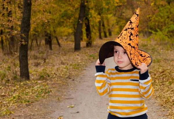 Niño Preescolar Lleva Sombrero Naranja Con Murciélagos Cabeza Otoño Bosque —  Fotos de Stock