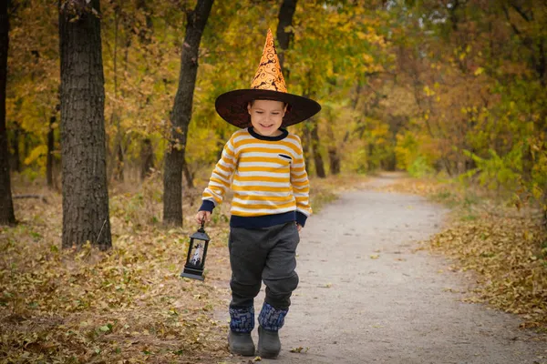 Un niño de preescolar camina con una linterna en el bosque de otoño de Halloween —  Fotos de Stock