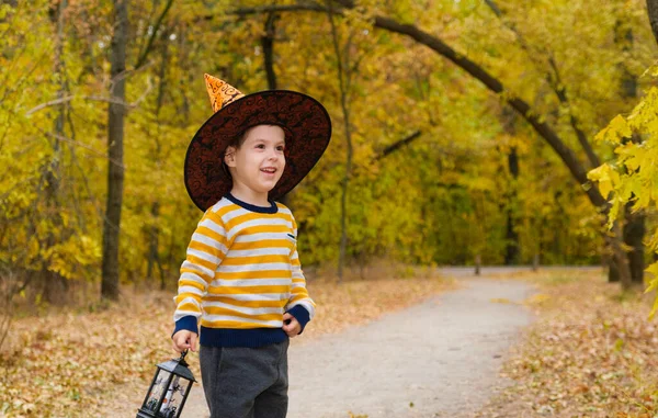 Un bambino in età prescolare cammina con una lanterna nella foresta autunnale di Halloween — Foto Stock