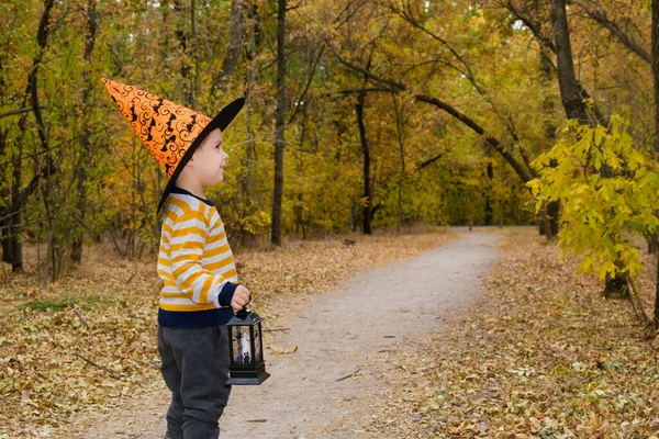 一个学龄前男孩带着灯笼在万圣节的秋天的森林里散步 — 图库照片
