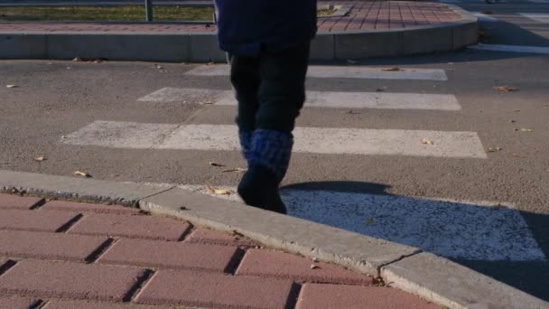 Un niño en edad preescolar cruza la calle en una cebra en un cruce peatonal, cámara lenta — Vídeos de Stock