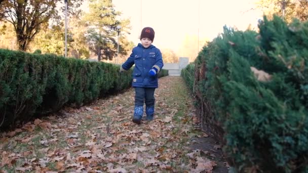 Bir anaokulu çocuğu sonbahar yolunda yürür ve şarkılar söyler. — Stok video