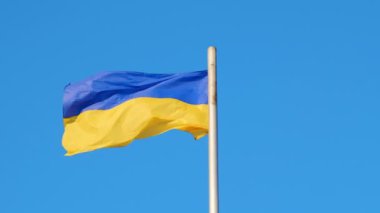 Ukrayna 'nın sarı ve mavi renkli bayrağı rüzgarda dallanır gökyüzüne karşı.