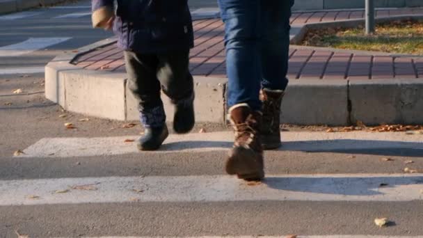 Mamá y el niño cruzan la calle en el cruce de cebra. — Vídeos de Stock
