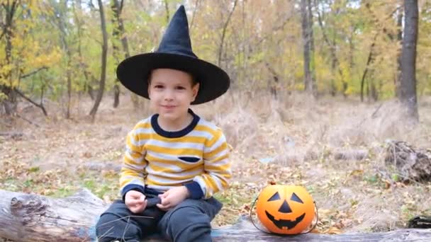 Garçon d'âge préscolaire en costume de sorcière mange des bonbons pour Halloween dans la forêt d'automne. — Video
