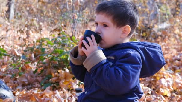 Ein 4-jähriger Junge trinkt im Herbstwald Tee aus einer Thermoskanne. — Stockvideo