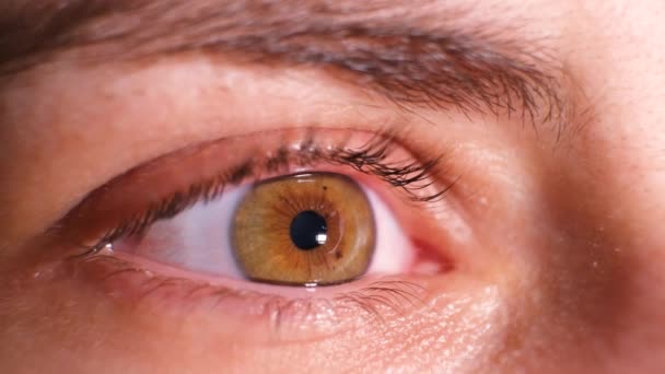 Makro videó az emberi szem elhelyezéséről, pupillatágulatról és szűkületről. — Stock videók