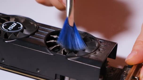 Computer wizard borstelt de videokaart van stof. — Stockvideo