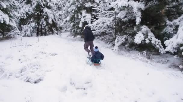 Papá tirando en trineo a su hijo en una estación de esquí en un bosque de invierno cubierto de nieve. — Vídeos de Stock