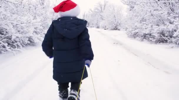 Chłopiec w zimowych ubraniach i kapelusz Świętego Mikołaja toczy sanie po drodze, bawiąc się w przyrodzie w zimie — Wideo stockowe