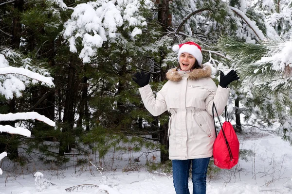 Una donna in cappello di Babbo Natale con una borsa rossa di regali cammina in una pineta innevata in inverno — Foto Stock