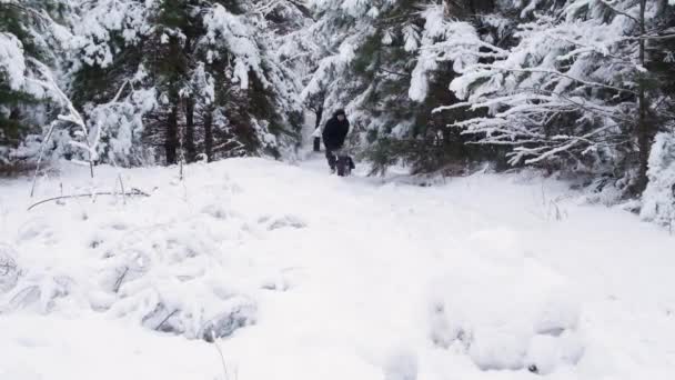 爸爸开车送儿子去雪地覆盖的冬季森林里的一个滑雪胜地，拍慢镜头. — 图库视频影像