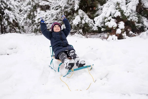 A preschooler boy sleds in a snow-covered forest in the winter — Foto de Stock