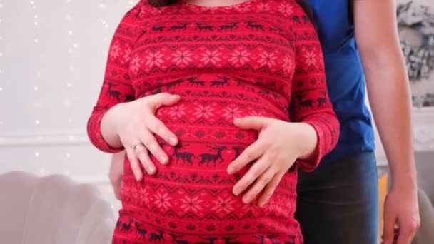 Felices futuros padres esperan el nacimiento de un bebé, el marido acaricia el vientre de su esposa embarazada — Vídeos de Stock