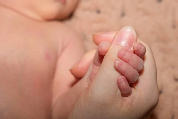 Un bebé recién nacido sostiene el dedo de su madre. Confort y afecto, primogénito, paternidad — Foto de Stock