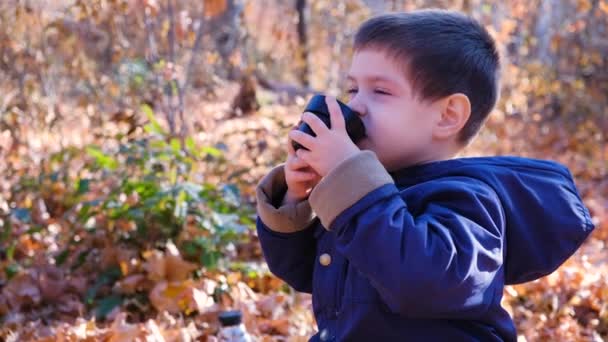 秋天的森林里 一个4岁的男孩正在用热水瓶喝茶 — 图库视频影像