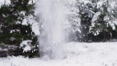 Çam ormanında beyaz ceketli bir kadın kar altında kar altında kar altında atlıyor ve eğleniyor.