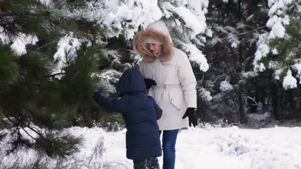 Mother Son Walk Winter Snow Covered Pine Forest Sweep Snow — 图库视频影像