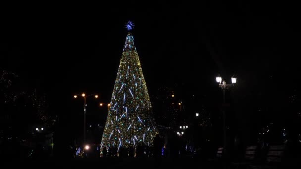 Gyönyörű Karácsonyfa Éjjel Szabadban Ragyogó Fények Koszorúk Utcai Lámpák — Stock videók