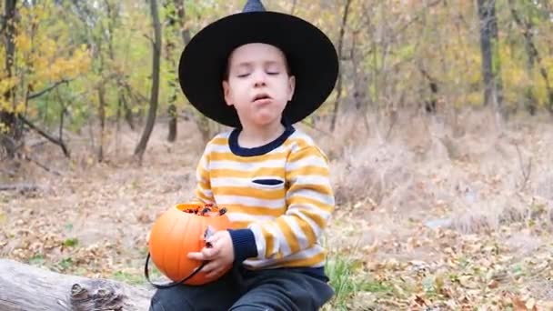 Przedszkolak Stroju Czarownicy Zjada Cukierki Halloween Jesiennym Lesie — Wideo stockowe