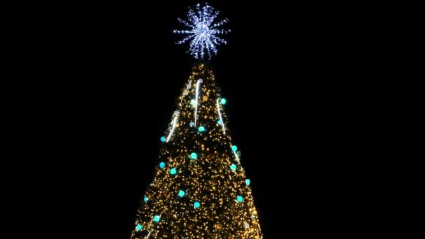 Gyönyörű karácsonyfa éjjel szabadban, ragyogó fények és koszorúk, utcai lámpák. — Stock videók