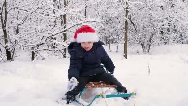 Uma criança bonita em um chapéu de Papai Noel senta-se em um trenó e brinca com a neve na floresta de inverno — Vídeo de Stock