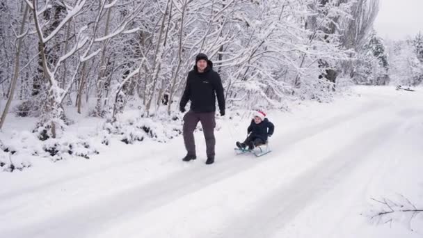 Táta sáňkoval svého syna v lyžařském středisku ve sněhem pokrytém zimním lese. — Stock video