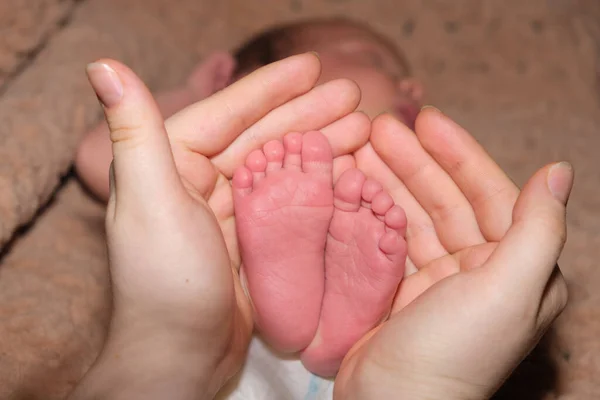 Las piernas de un bebé de dos semanas están en manos de una madre. Las palmas de una mujer y los pies de un niño, el amor y el cuidado de los padres. — Foto de Stock