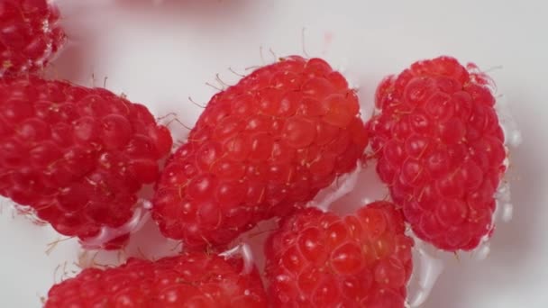 Macro Video Raspberries Falling Water Top View — 비디오