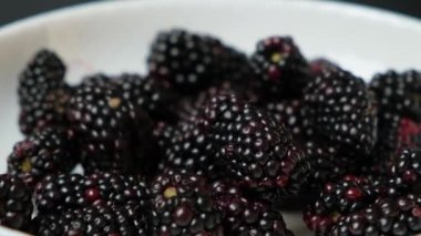 Blackberries fall into a white plate, side view, slow motion