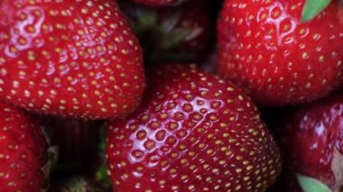 Çilekler daire şeklinde dönüyor, üst manzara, makro video.