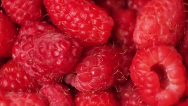 Macro Video Spinning Raspberries Top View — Video Stock