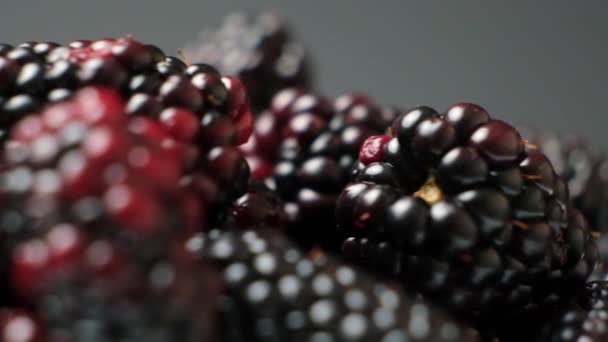 Ripe Juicy Blackberries Swirling Black Background Slow Motion — Stock Video