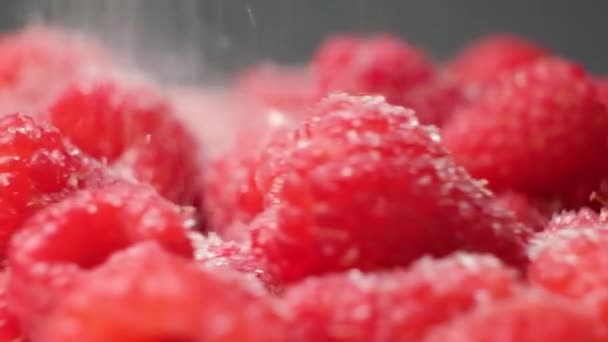 糖落在成熟的覆盆子上 动作缓慢 — 图库视频影像