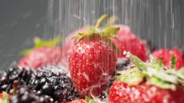 Sugar Falls Strawberries Raspberries Blackberries Close — Stock Video