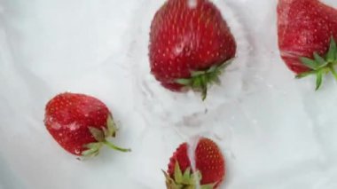 Strawberries fall from above into the water on a white background, hit each other, swim and move, view from above.