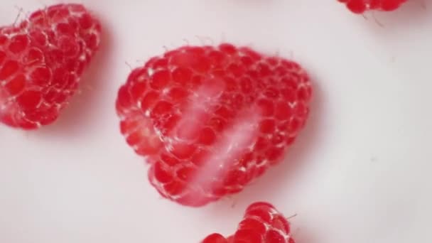 Lot Raspberries Whirl Move Water White Background View — Stock Video