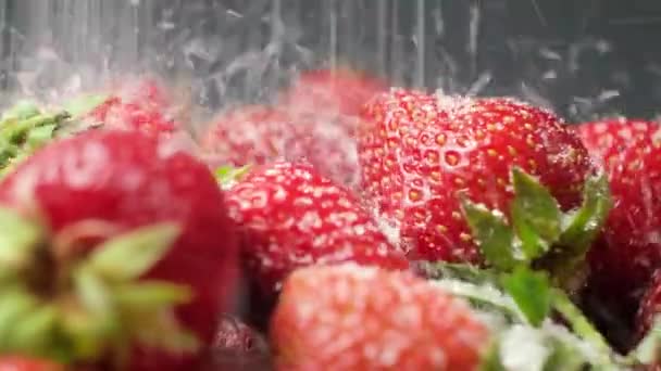 Suiker Valt Aardbeien Een Zwarte Achtergrond Bessen Draaien Een Cirkel — Stockvideo