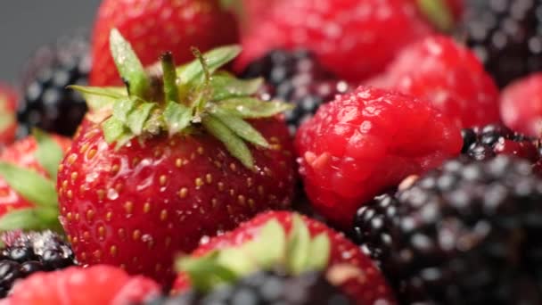 Strawberries Raspberries Blackberries Sprinkled Sugar Spin Circle — Stockvideo
